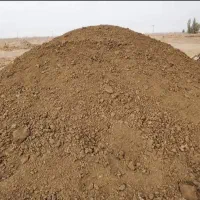 کود حیوانی رایگان|خدمات باغبانی و درختکاری|قم, علی آباد سعدگان|دیوار