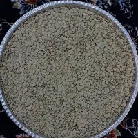 حبوبات محلی عدس ،نخود ،آرد.بلغور|خوردنی و آشامیدنی|زنجان, |دیوار