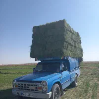 یونجه انباری|خدمات باغبانی و درختکاری|سبزوار, قلعهنو دهزار|دیوار