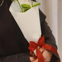 گل‌های دست بافته|گل مصنوعی|بجنورد, |دیوار