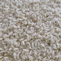 برنج محلی درجه یک