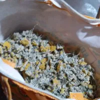 گیاه دارویی بیمادرون کاکوتو گل پرفروشی دارم