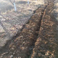 سمپاشی چال کود تیلر هرس|خدمات باغبانی و درختکاری|سنندج, |دیوار