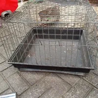 قفس جوجه مرغ عشق خرگوش مینا|لوازم جانبی حیوانات|رشت, اسماعیل آباد|دیوار