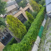 خدمات باغبانی وباغچه کاری هرس کودهی بیل زدن باغچه