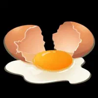 تخم مرغ نطفه دار