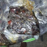 خرمای کبکاب