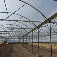 ساخت و تعمیرات گلخانه|خدمات باغبانی و درختکاری|جوادآباد, |دیوار