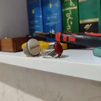 دو عدد انگشتر نقره