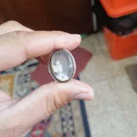 انگشتر شجر