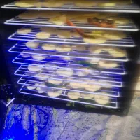 فروش دستگاه  خشک کن خانگی