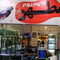 آکواریوم و ماهی