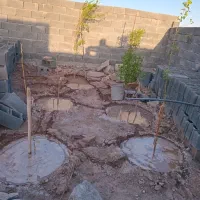 زمین-مزروعی