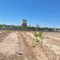 باغچه-درخت-کاری-شده-وخام-به-قیمت-کاسبی
