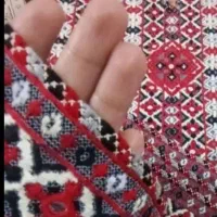 کریشی وسرتوپ هانی|لباس|زاهدان, |دیوار