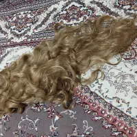کلاه گیس|آرایشی، بهداشتی، درمانی|مشهد, طبرسی شمالی|دیوار