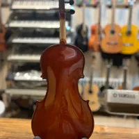 ویولن والنسیا در موزیک ارژنگ|ویولن|پردیس, فاز ۳|دیوار