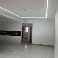 داوطلبانه
