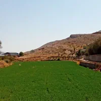 باغ-شهری-در-صدرا-زرقان-لپویی