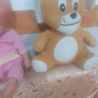 عروسک همه نوع|اسباب‌بازی بچه|کرمانشاه, |دیوار