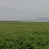 نیم-هکتار-زمین