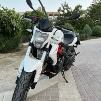 بنلی ۳۰۰ جفت