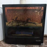 بخاری در حدنو