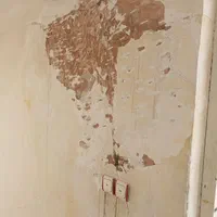 نقاشی ساختمان روغنی و پلاستیک|خدمات پیشه و مهارت|قرچک, مهدیه|دیوار