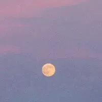 وام خریدارم