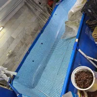 استخر 8 هزار لیتری اینتکس