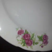 ۱۲ عدد پیش‌دستی چینی گلسرخی ژاپنی