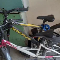 دوچرخه|دوچرخه، اسکیت، اسکوتر|رشت, فلسطین|دیوار