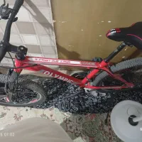 دوچرخه المپیک اورجینال حرفه ای|دوچرخه، اسکیت، اسکوتر|فردیس, فردیس|دیوار