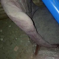 دو دست میز صندل به فروش میرسد