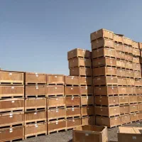 باکس پالت چوبی جعبه وارداتی
