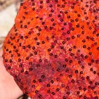 4قوار پارچه پولک برای سورانی هرقواره 800تومان|لباس|سنندج, |دیوار