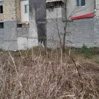 زمین-60-متری-گلها-رشت