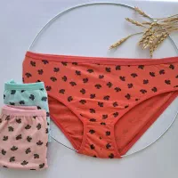 لباس زیر|لباس|رشت, توشیبا|دیوار