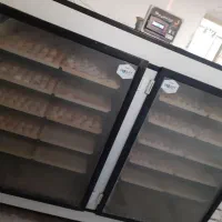 فروش دستگاه جوجه کشی اسکندری