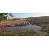 اجاره۱۵هکتارزمین کشاورزی دیم|اجارهٔ دفتر صنعتی، کشاورزی، تجاری|اندیمشک, |دیوار