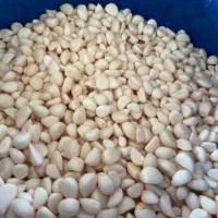 پخش ، زیتون ، گلسیر ، سیر ترشی ، روغن زیتون|خوردنی و آشامیدنی|رودبار, |دیوار