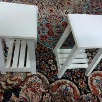 دوعدد چهارپایه