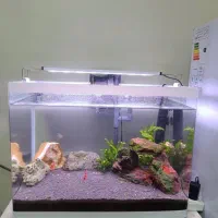 تجهیزات اکواریوم