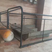 کفی باربند وانت پیکان و کپسول سی ان جی