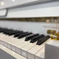 پیانو طرح اکوستیک YAMAHA DPH620|پیانو، کیبورد، آکاردئون|شیراز, ابیوردی|دیوار