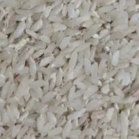 برنج کردی و محلی کیلوی ۲۸۰هزار