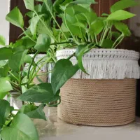 گلدان زیبا کاردست