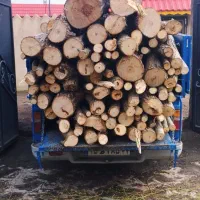 خرید چوب باغات