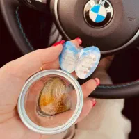 کادو روز زن، مادر، صدف پرورشی|جواهرات|سمنان, |دیوار