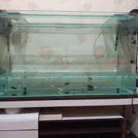 آکواریوم با تمام تجهیزات و قیمت مناسب|ماهی|بندرعباس, |دیوار
